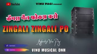 कैमरा मैन फोकस करो  Zingali Zingali po  part 2  Vinu Musical DNH 2023 2024 tarpa [upl. by Klapp]