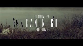 Canon 6D  24105mm F4 Test Footage [upl. by Eanar24]