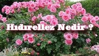 Hıdırellez nedir  Nasıl dilek dilenir [upl. by Kelcey]