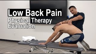 Low Back Pain FULL Physical Therapy Evaluation [upl. by Holly]