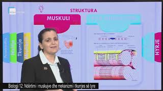 Biologji 12  Ndërtimi i muskujve dhe mekanizmi i tkurrjes së tyre [upl. by Allimac]