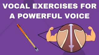 Vocal Exercises For A Powerful Voice With a Straw [upl. by Conni815]