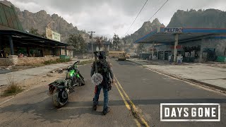 Days Gone is Actually a Masterpiece [upl. by Inafetse]