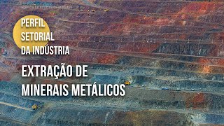 Conheça o setor de extração de minerais metálicos  2024 [upl. by Namajneb494]