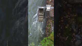 Can a Waterwheel Generate Electricity [upl. by Sari157]