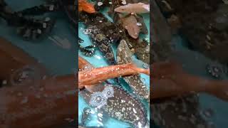 Assorted Fresh fish shorts utubeshort markettime [upl. by Amoritta]