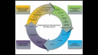 Organizational Development The Big Picture by Frederick Janson MBA [upl. by Siuqram]