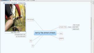 Xmind tutorial [upl. by Cocks]