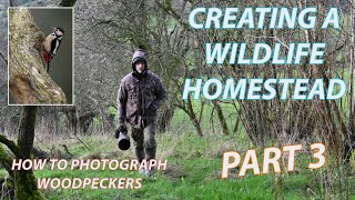 Wildlife Homestead Pt 3 and Photographing Greater Spotted Woodpeckers [upl. by Aninat362]