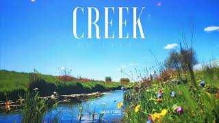 221 Creek Official [upl. by Sofie]