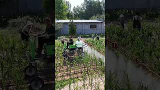 Small corn pesticide sprayer [upl. by Camroc]