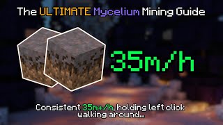 The ULTIMATE Mycelium Mining Guide OVER 35mh  Hypixel Skyblock [upl. by Shenan]