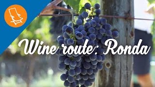 Wine route The bodegas of Ronda [upl. by Mccreery]