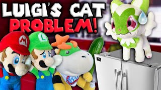 AMB  Luigi’s Cat Problem [upl. by Notsrik337]