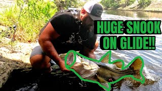 HUGE FRESHWATER SNOOK CHOKES THE SAVAGE GEAR GLIDE SWIMMER [upl. by Porte]