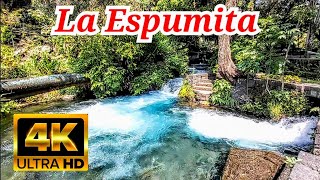 Así es el Río Cupatitzio Las Camelinas de Uruapan Recorrido 4k ASMR [upl. by Peyter952]