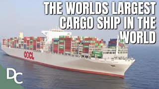 The Secret to the Worlds Largest Cargo Ship  Mega Transports  DocoCentral [upl. by Kcerred261]