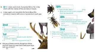 English File pre intermediate 4th edition SB94 [upl. by Ahnavas]