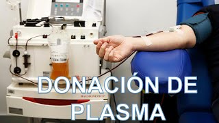 ¿Qué requisitos se necesitan para donar plasma [upl. by Anirrehs]