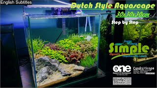 Step by Step Nano Dutch Style Aquascape 30 cm cube 37 [upl. by Dow832]