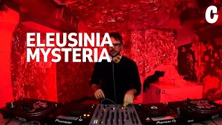 Guestzone w Eleusinia Mysteria CannibalRadio  16 Nov 2024 [upl. by Atsyrc]