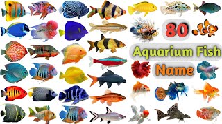 Aquarium Fish Vocabulary ll About 80 Aquarium Fishes Name In English With Pictures ll Aquarium Fish [upl. by Airotna797]