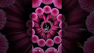 Allah se Kitna pyar karte Ho like and subscribe Karen plenty 💚💚💚💚 [upl. by Lucina27]