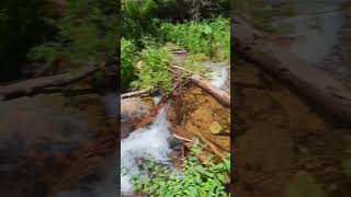 The Colorado River near its source in Rocky Mountain National Park [upl. by Bega813]