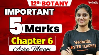 12th Botany  Chapter 6  Important 5 Mark Questions  2nd Mid Term  Asha Maam [upl. by Hsivat]