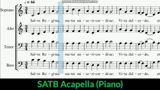 Salve Regina  SATB Acapella Grand Piano [upl. by Bogoch8]