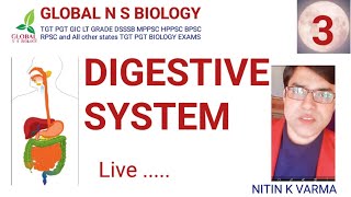 Digestive system Lecture 3 [upl. by Olvan337]