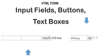 HTML Form input Fields Text Boxes Buttons [upl. by Misha632]