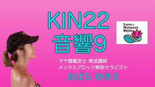 【マヤ暦がやばい！ KIN22・音響9】 お勧めの過ごし方 [upl. by Maker]