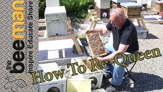 How to ReQueen an aggressive hive or split [upl. by Felske]