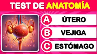 🔴¿Cuánto sabes de CULTURA GENERAL 🟢 trivia Triviador Quiz  Preguntas de cultura general 🧠 [upl. by Krystin]