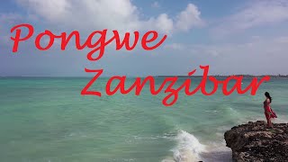 PONGWE ZANZIBAR [upl. by Oicor]