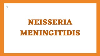 Neisseria Meningitidis or Meningococcus Gram Negative Coccus  Med Zukhruf [upl. by Lamraj]