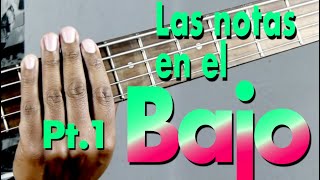 Aprende las Notas del Bajo trastes 1 a 5  La mejor clase de bajo eléctrico [upl. by Ulland]