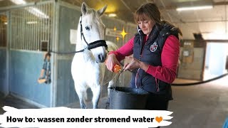 HOW TO paard wassen zonder stromend water  27  Epplejeck [upl. by Demmer]