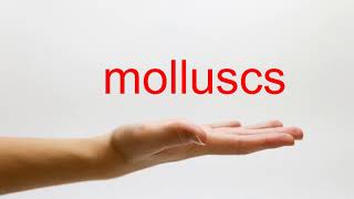 How to Pronounce molluscs  American English [upl. by Nassir]