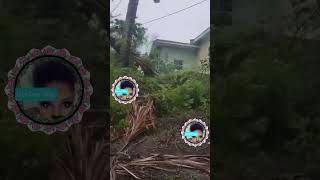 Hurricane Beryl hits Carriacou Island Grenada 🇬🇩 shortsfeed shortsviral shortvideo viralvideo [upl. by Hearn]