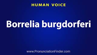 How To Pronounce Borrelia burgdorferi [upl. by Elaine]