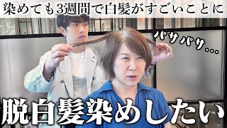 【40代くせ毛さん】3週間で白髪がすごいことにずっとこのままはイヤ！助けてください！ [upl. by Ahseiym]