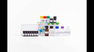 YR2SC0106 Furazolidone Metabolite AOZ ELISA Test Kit [upl. by Tonneson]