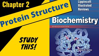 Lippincotts Biochemistry Review Chapter 2 Protein Structure  Study This [upl. by Pet401]