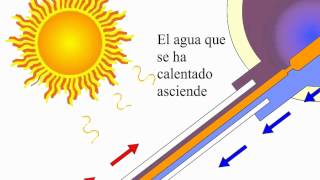 Funcionamiento calentador solar de agua [upl. by Triny285]