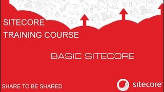 04 Content Editing and Publishing SiteItem in Sitecore  Sitecore Training [upl. by Ecnarrat]