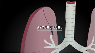 Azygos lobe notes [upl. by Groves]