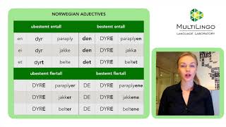 Norwegian Adjectives  part one [upl. by Benedikta706]