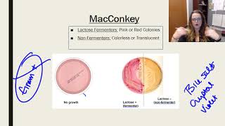 Laboratory tests media and techniques [upl. by Dole]